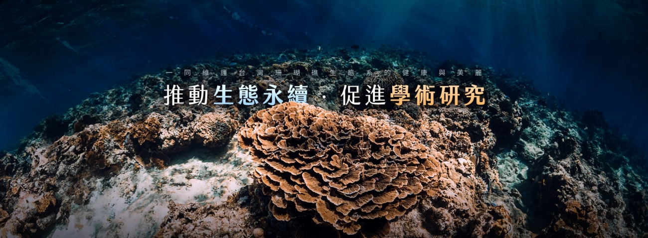 1903X700_r1_c1.jpg